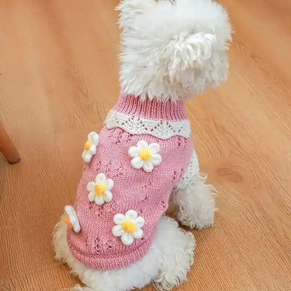 Knitwear Dog Hoodie | Soft & Warm Pullover for Small & Medium Breeds