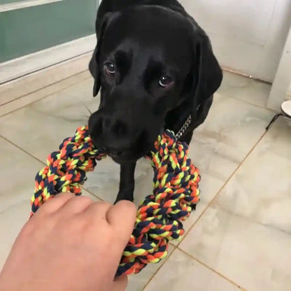 Dog Chew Rope Toy: Tough and Durable Fun for Medium to Large Dogs!