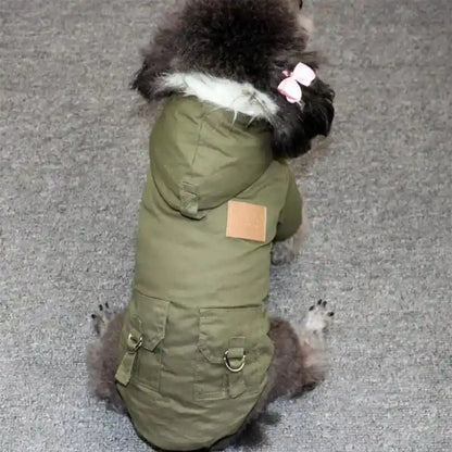 Dog wearing green winter coat with fur hood.