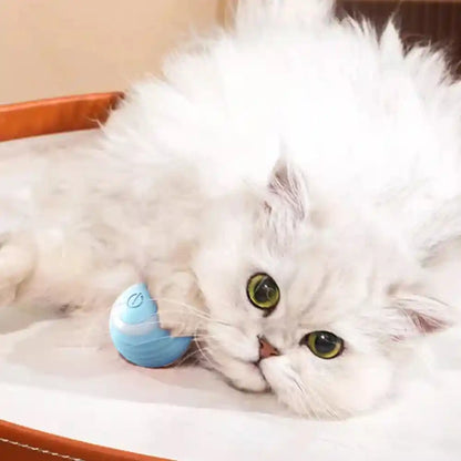 Cat Interactive Ball: The Ultimate Electronic Playtime Companion!