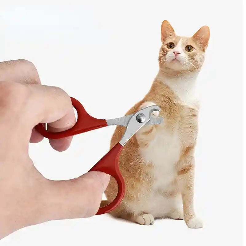 Cat Nail Scissors & Dog Nail Clippers: Precision Toe Claw Trimmer for Small Pets!