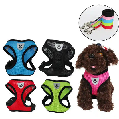 Adjustable Cat & Dog Harness: Comfort and Control for Every Walk!