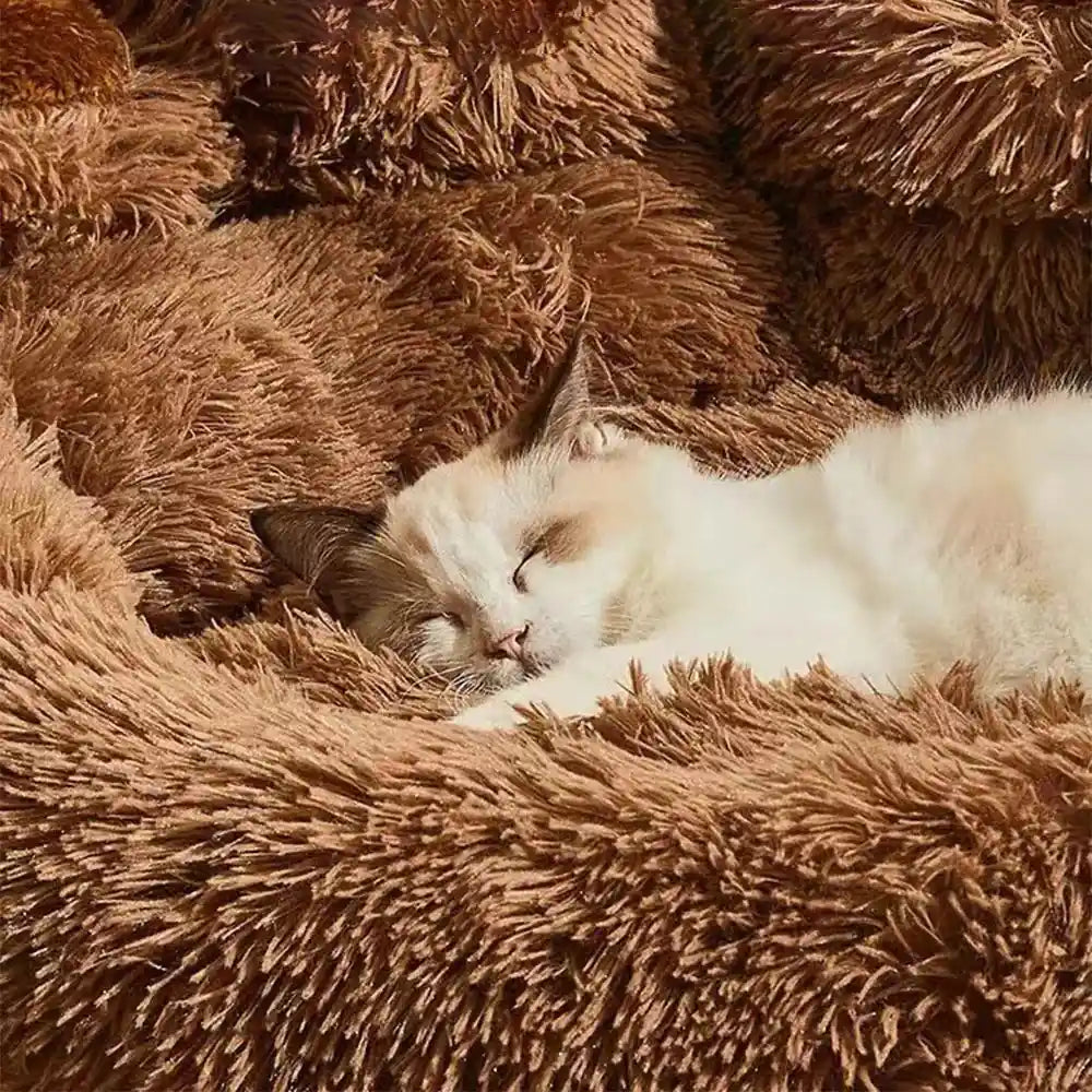 Cat sleeping on brown plush sofa bed