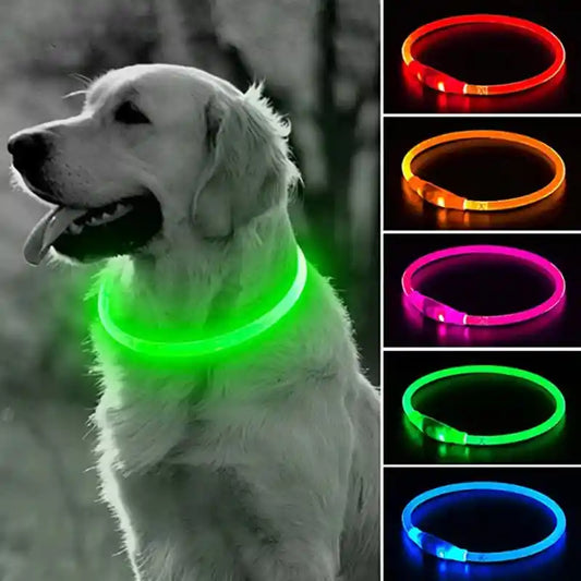 Led Dog Collar Luminous Usb Cat Dog Collar