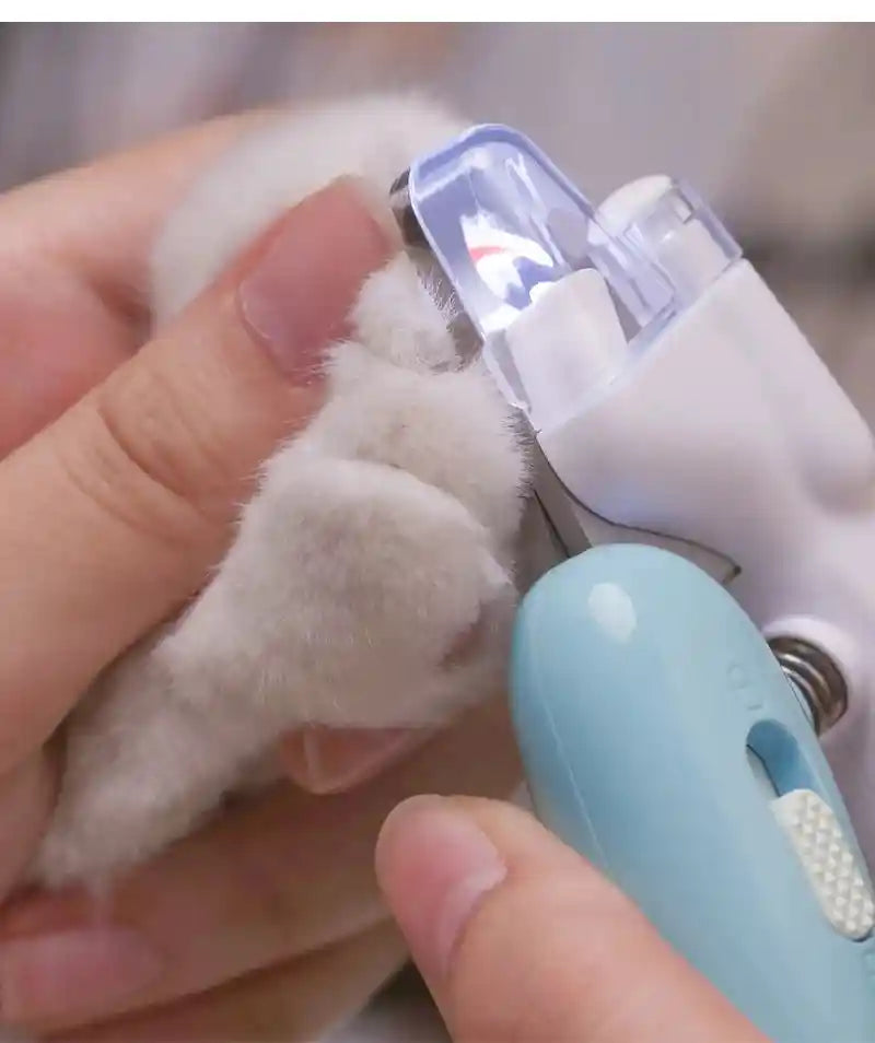 Using pet nail clippers with LED light on paw