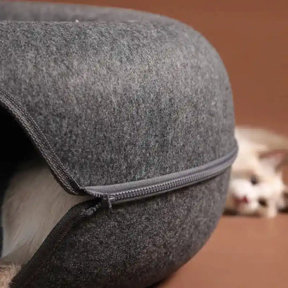 Donut Cat Bed for Two: The Ultimate Cozy Retreat!