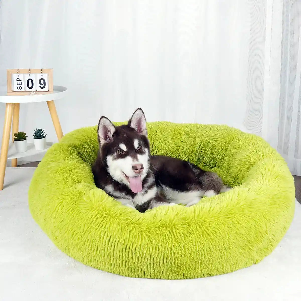 Dog Bed Donut