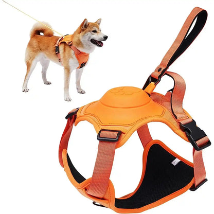 All-in-One Dog Harness and Retractable Leash Set: Walks Made Effortless!