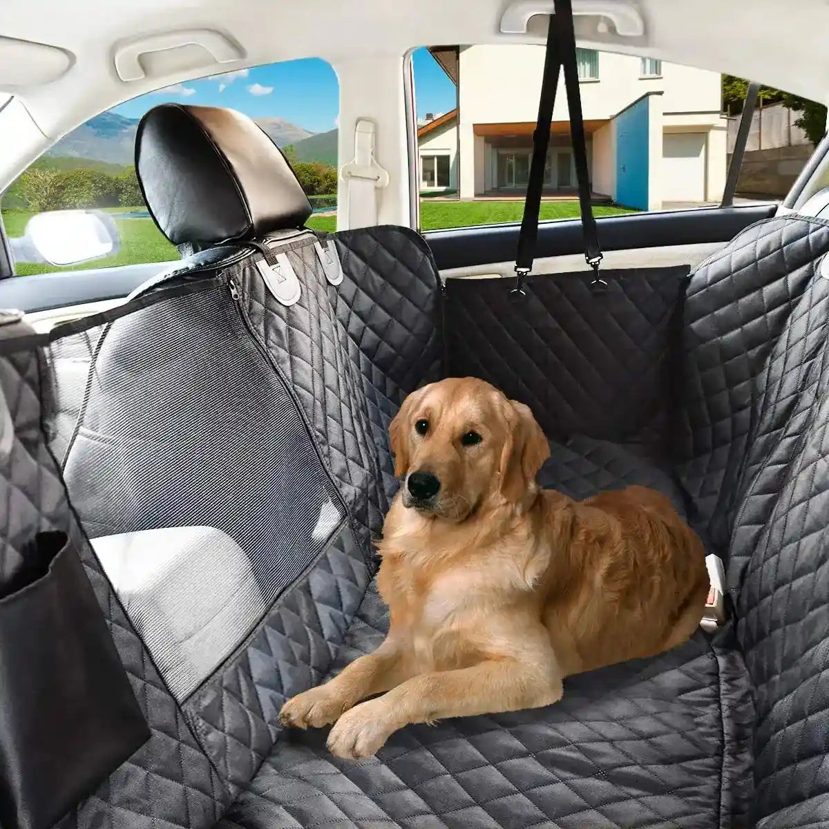 Golden retriever on waterproof car seat cover