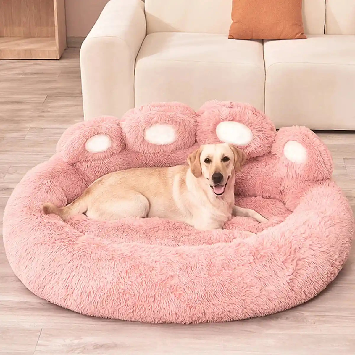 Pink plush dog sofa bed with Labrador smiling