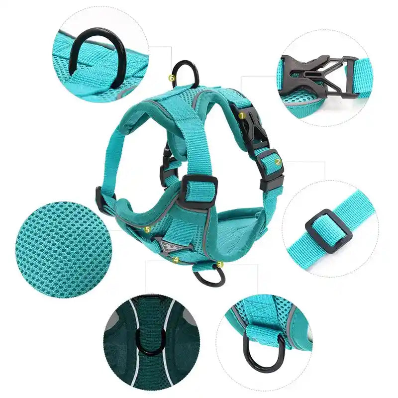 Dog Harness & Leash Set: Comfort and Safety for Your Furry Friend!