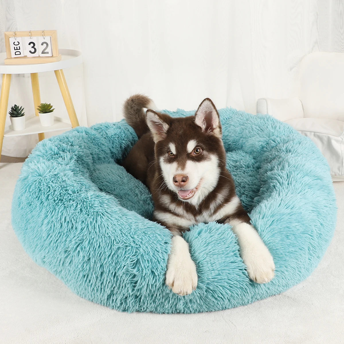 Dog Bed Donut