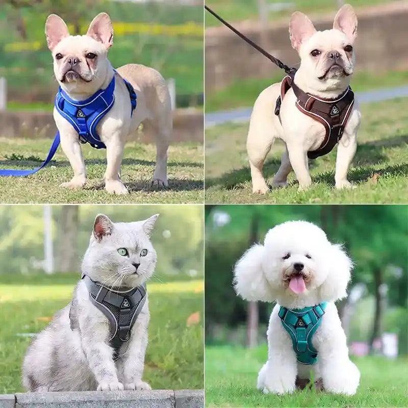 Dog Harness & Leash Set: Comfort and Safety for Your Furry Friend!