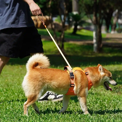 All-in-One Dog Harness and Retractable Leash Set: Walks Made Effortless!