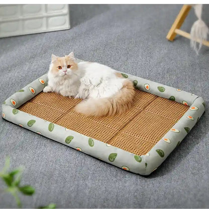 Cat on summer rattan bed with avocado print