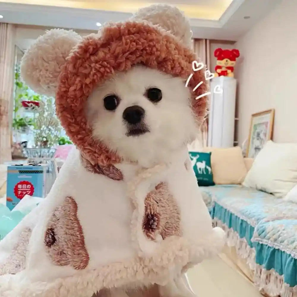 Dog wearing bear cape with ears indoors