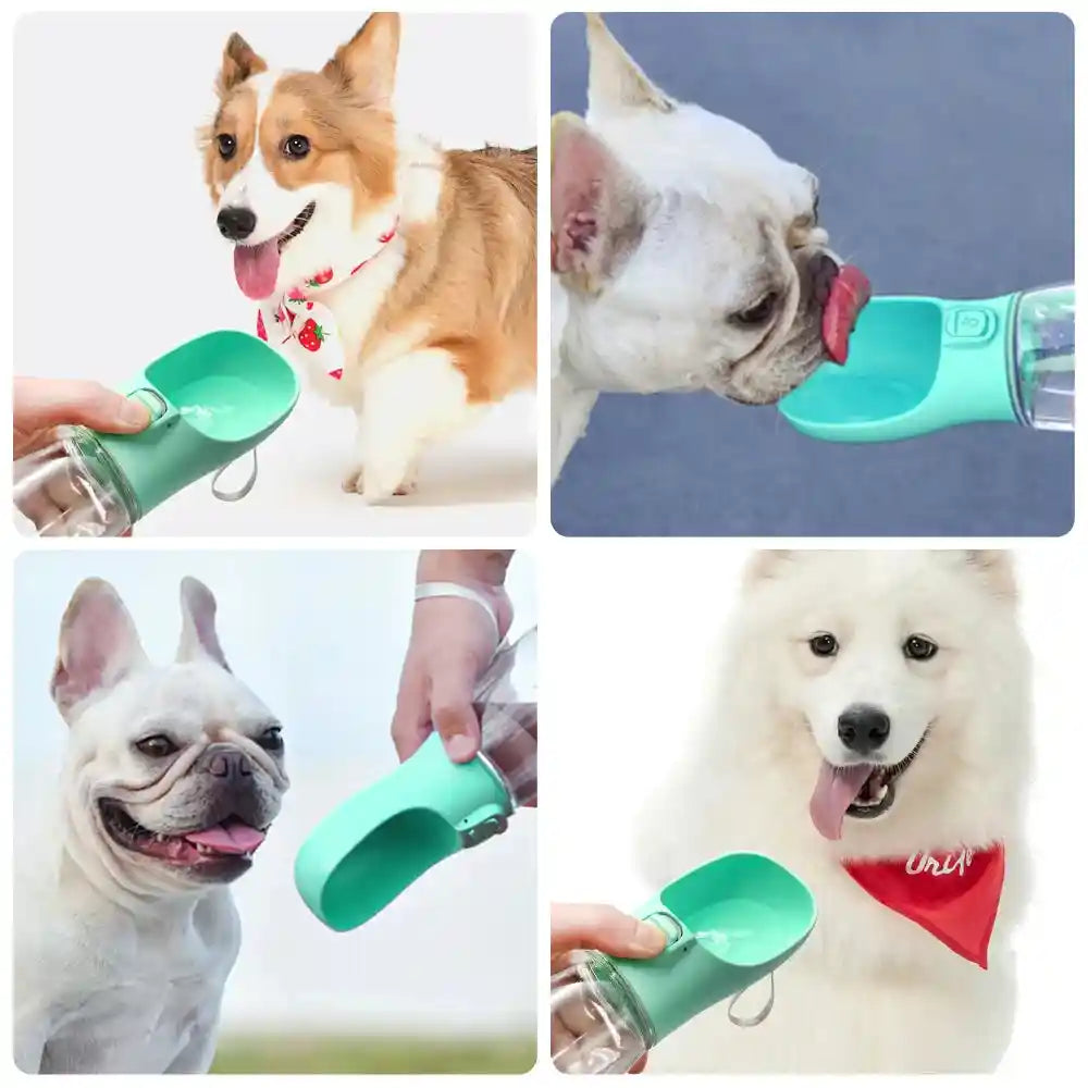 Dogs using portable water bottle outdoors