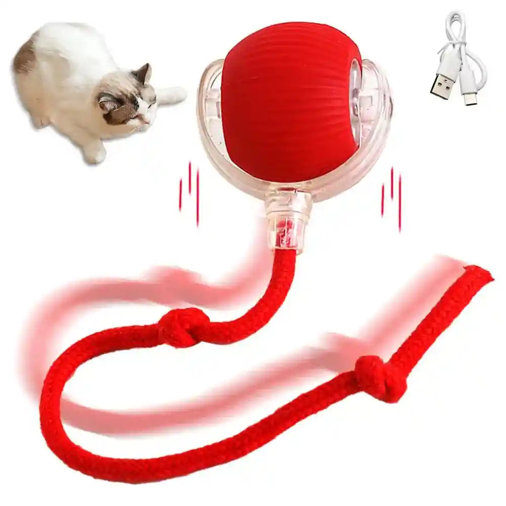 Interactive Cat Toy Ball: The Ultimate Playtime Adventure for Your Feline Friend!