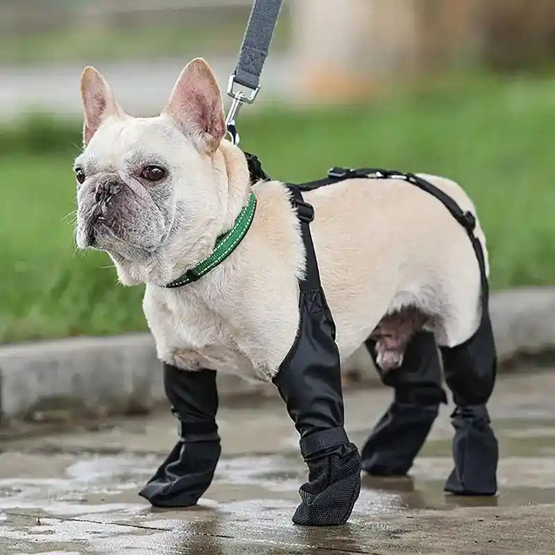 Anti-Dirty Dog Boots: Keep Your Paws Clean and Dry!