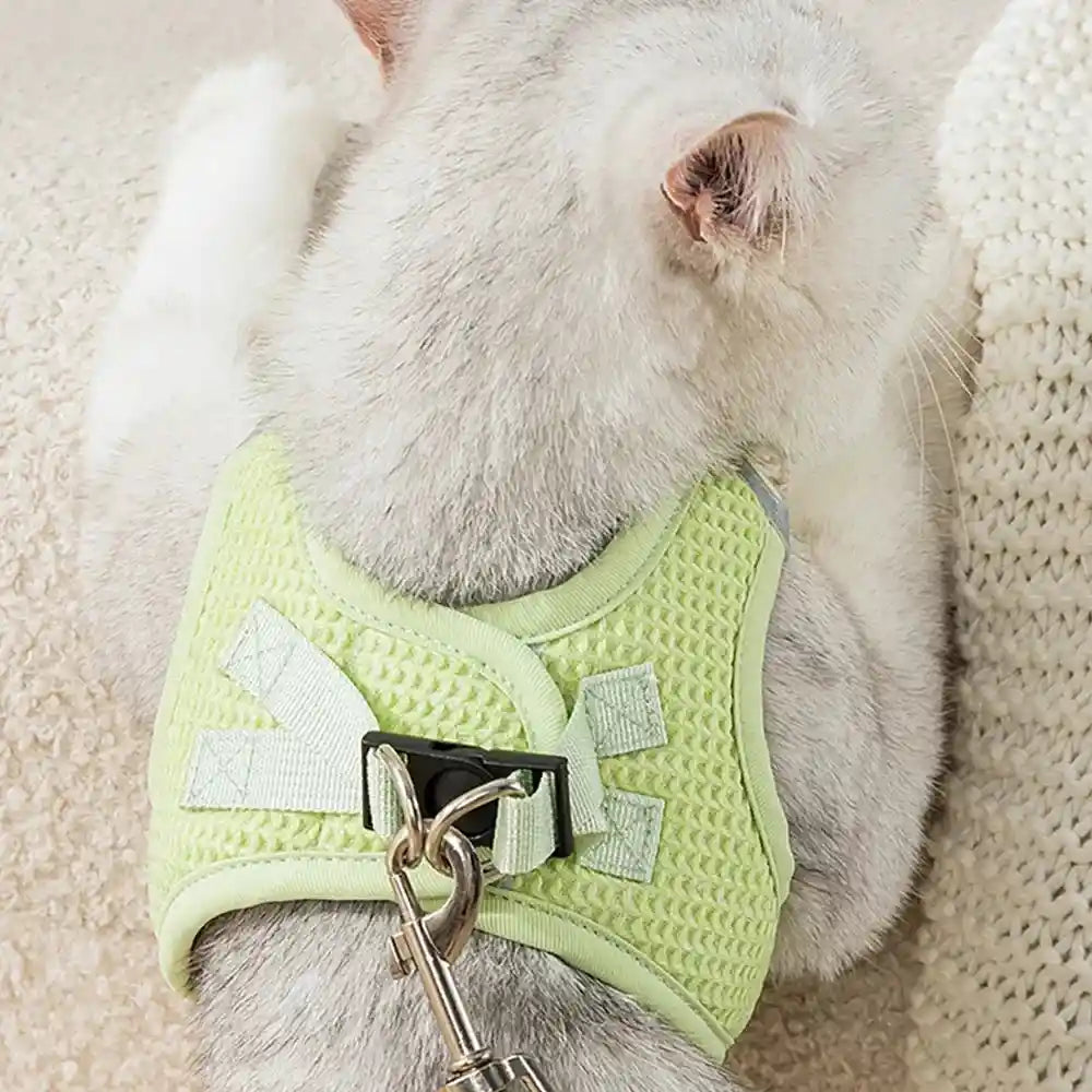 Harness Vest & Leash Set: Safety and Style for Your Furry Adventurers!