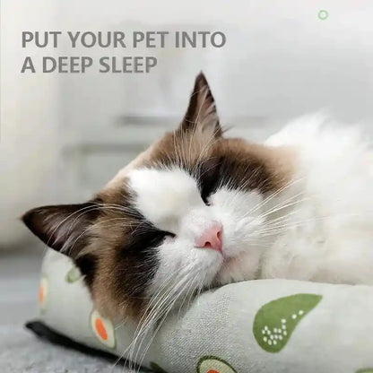 Cat sleeping on rattan bed with avocado print