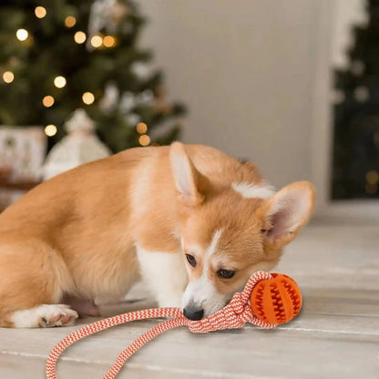 Pet Tooth Cleaning IQ Treat Ball: Fun and Functional Playtime for Your Pup!