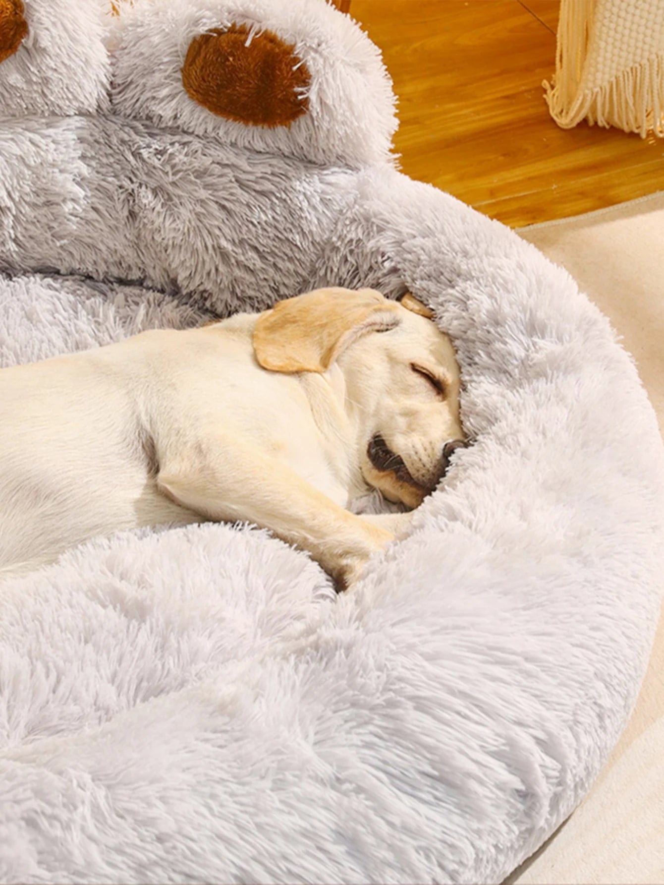 Dog sleeping on gray plush sofa bed