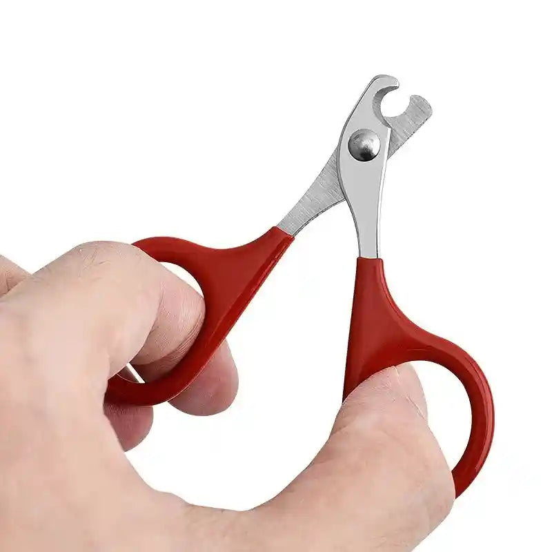 Cat Nail Scissors & Dog Nail Clippers: Precision Toe Claw Trimmer for Small Pets!