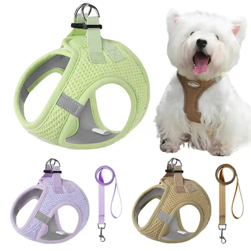 Harness Vest & Leash Set: Safety and Style for Your Furry Adventurers!