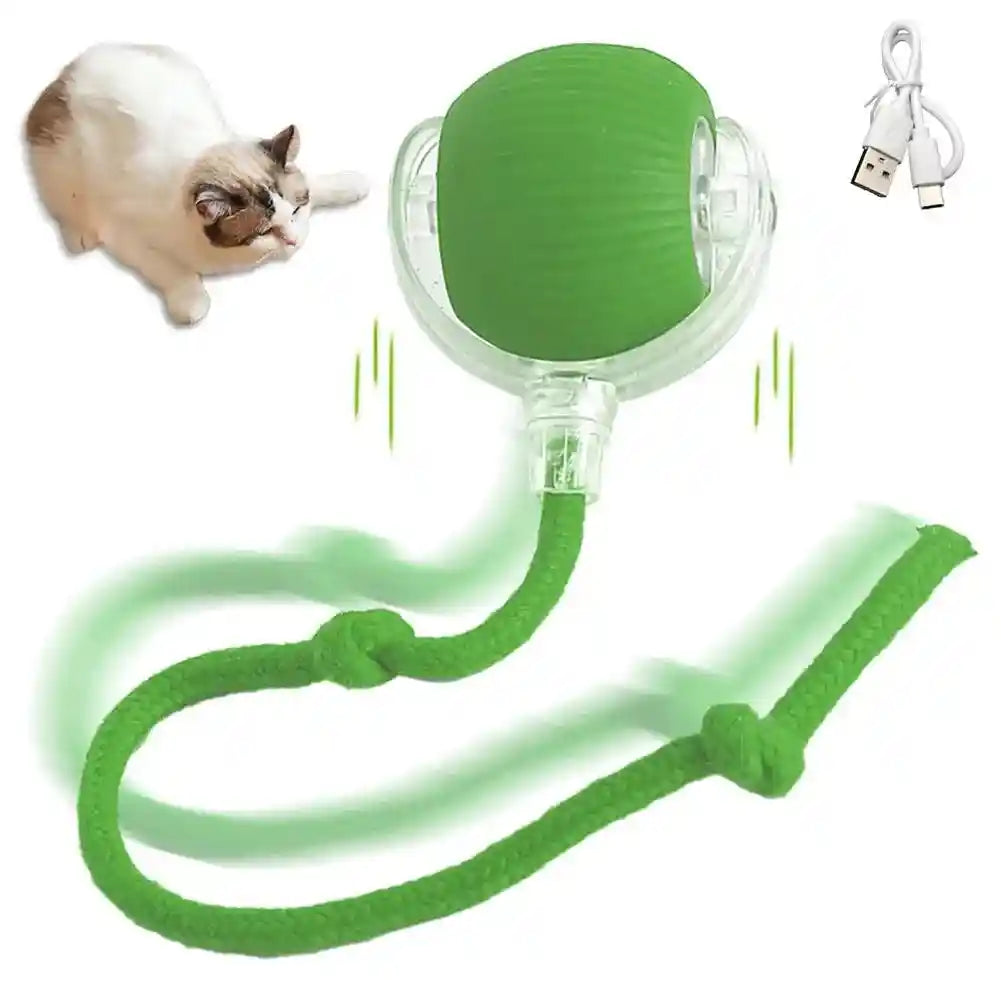 Interactive Cat Toy Ball: The Ultimate Playtime Adventure for Your Feline Friend!