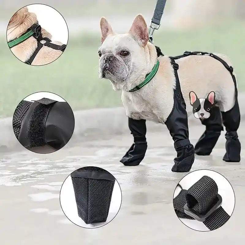 Anti-Dirty Dog Boots: Keep Your Paws Clean and Dry!