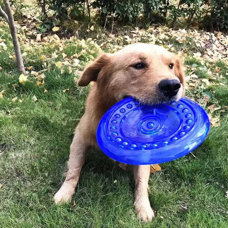 Funny Soft Rubber Pet Dog Flying Discs