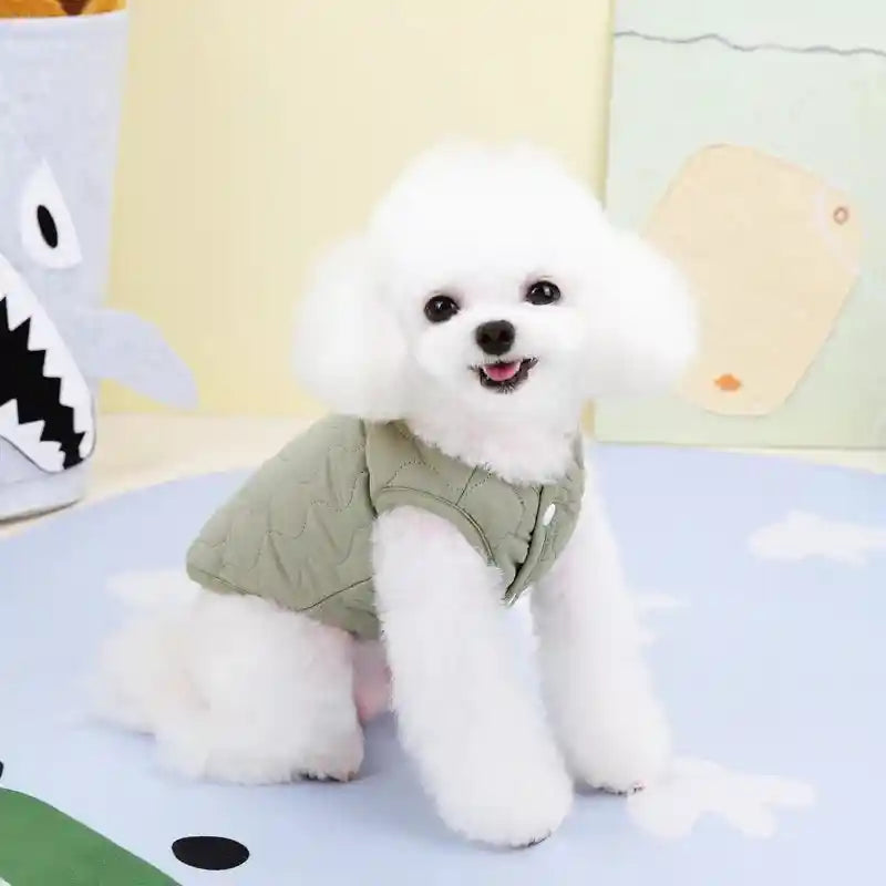 White dog wearing green winter vest jacket