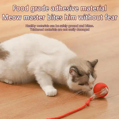 Interactive Cat Toy Ball: The Ultimate Playtime Adventure for Your Feline Friend!