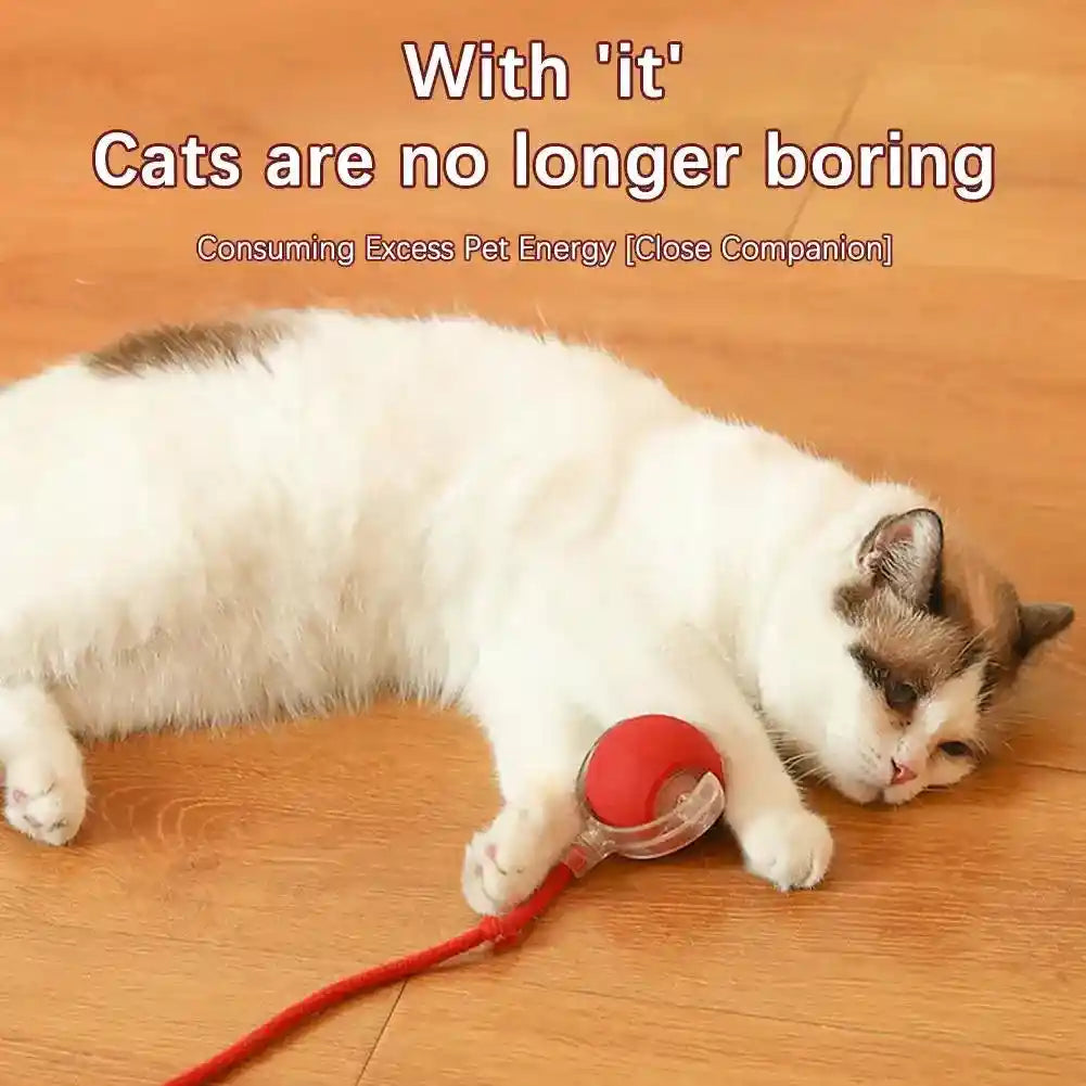 Interactive Cat Toy Ball: The Ultimate Playtime Adventure for Your Feline Friend!