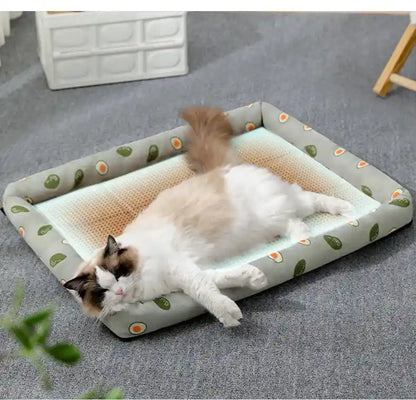 Cat relaxing on cooling rattan bed