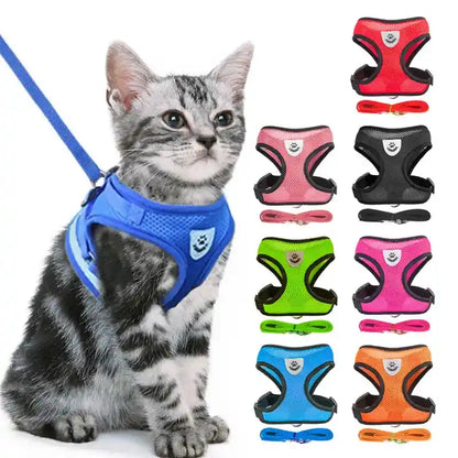 Adjustable Cat & Dog Harness: Comfort and Control for Every Walk!