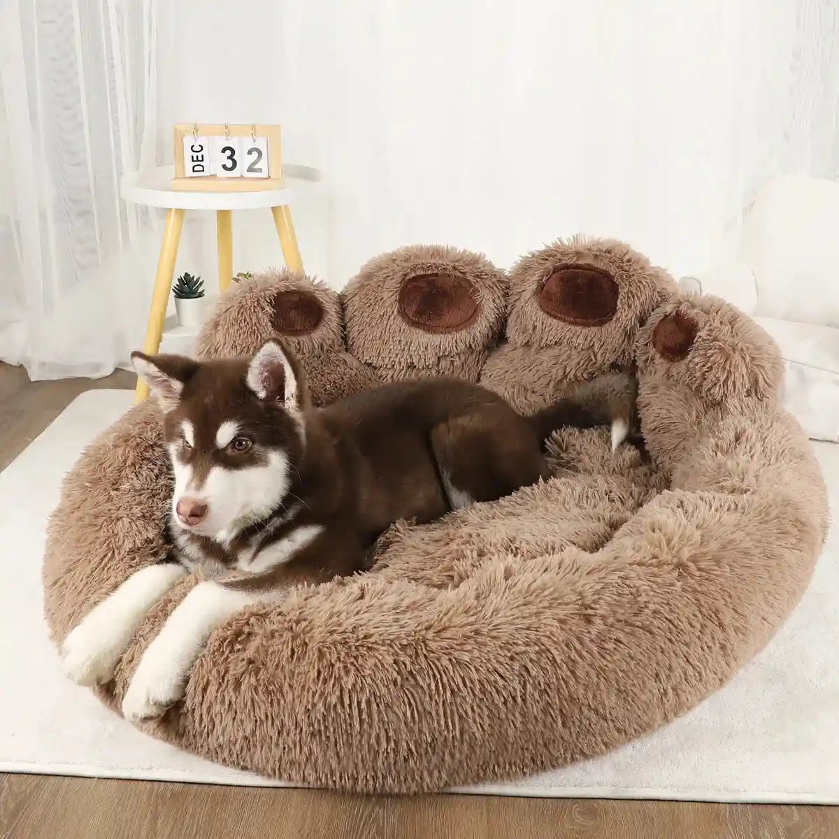 Brown plush dog sofa bed with Husky resting