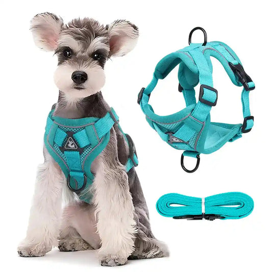 Dog Harness & Leash Set: Comfort and Safety for Your Furry Friend!