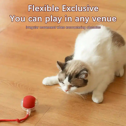 Interactive Cat Toy Ball: The Ultimate Playtime Adventure for Your Feline Friend!