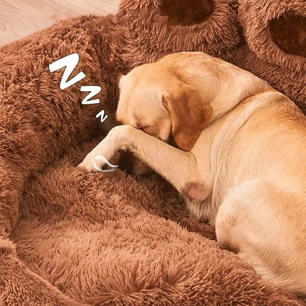 Dog sleeping on brown plush sofa bed