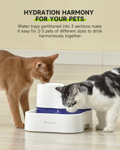 Cat Water Fountain FP50: Fresh, Clean Water for Happy Pets!