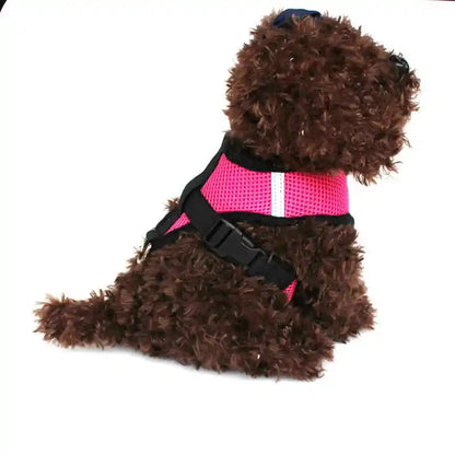 Adjustable Cat & Dog Harness: Comfort and Control for Every Walk!