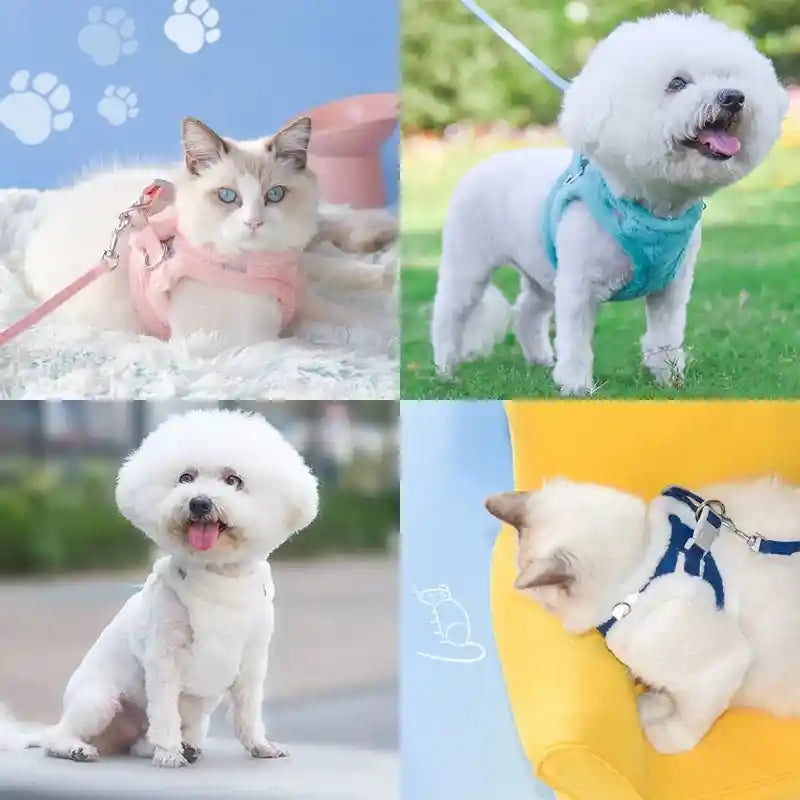 Cat & Puppy Harness and Leash Set: Walk in Style and Comfort!