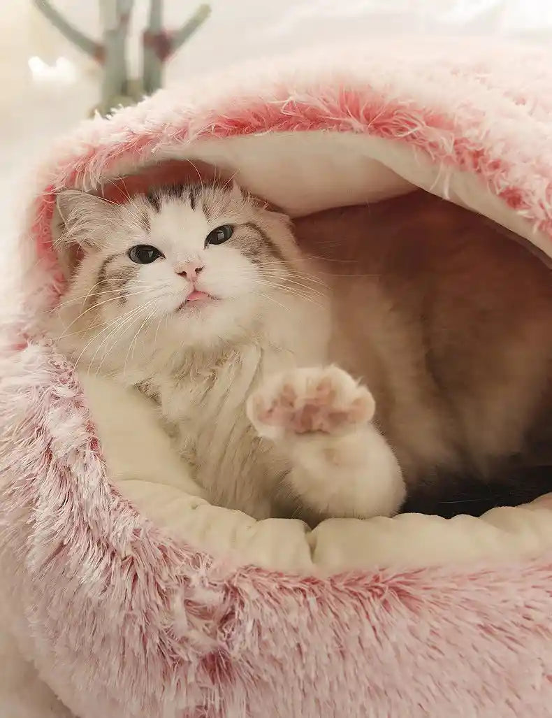 Cat in pink plush winter bed, cozy and warm.