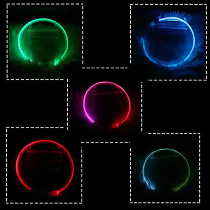 Led Dog Collar Luminous Usb Cat Dog Collar