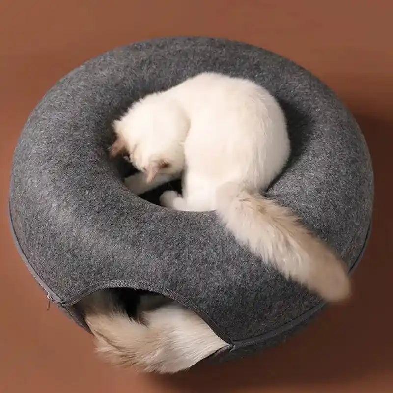 Donut Cat Bed for Two: The Ultimate Cozy Retreat!