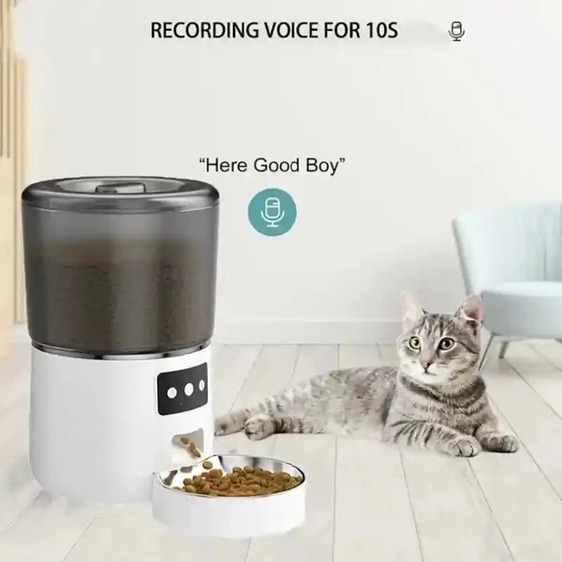 4L Automatic Pet Feeder with Timer & Voice Record | Stainless Steel Bowl