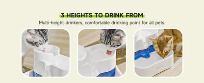 Cat Water Fountain FP50: Fresh, Clean Water for Happy Pets!