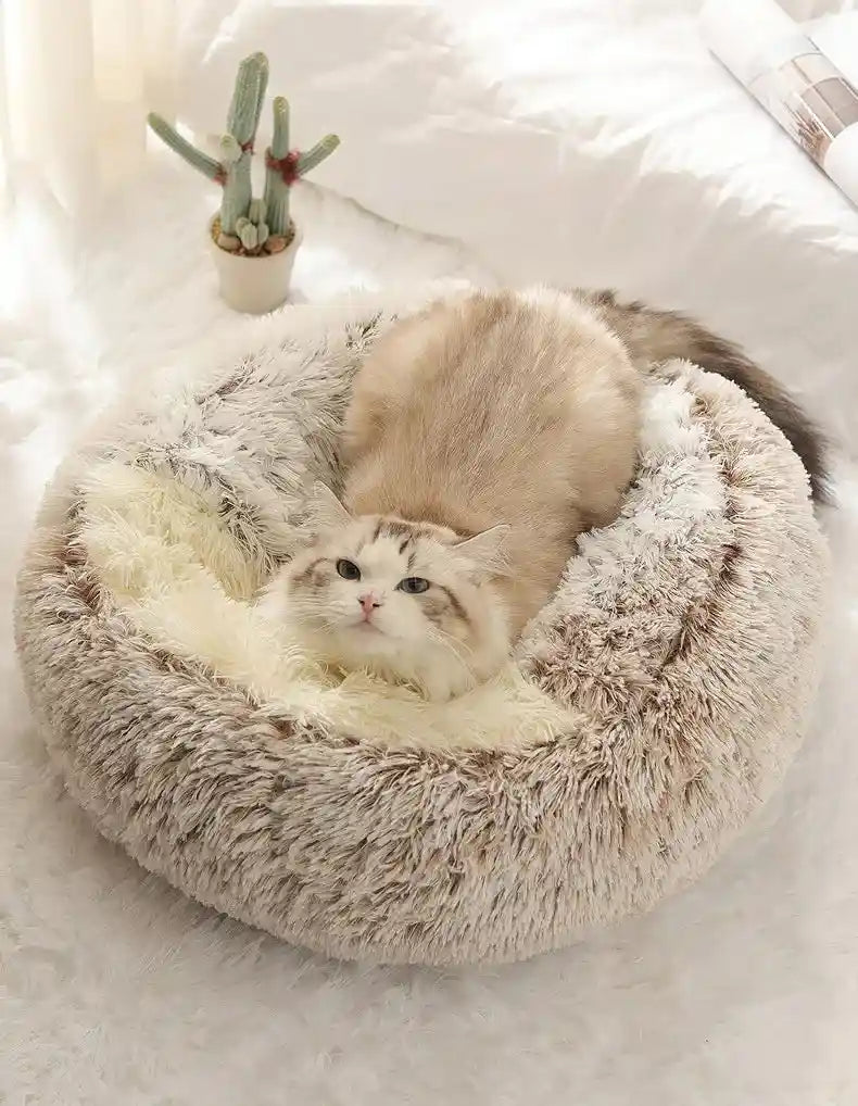 Cat lounging in gray plush winter bed.